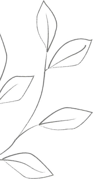 Grafischer Zweig mit Blättern als Designelement für die Website der Goldschmiede Caesar.